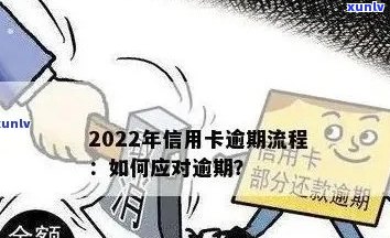 2022年信用卡逾期还款全攻略：步骤、影响与解决方案