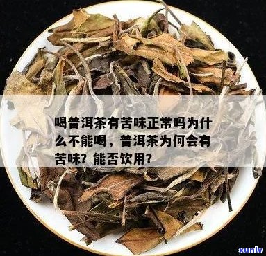 普洱茶有点苦正常吗？普洱茶为什么会有点苦？能喝吗？为什么普洱茶有苦味？