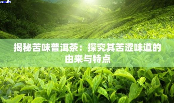 探究普洱茶苦涩的原因及其风味特征