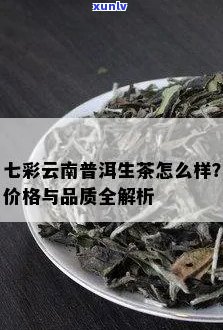 全面了解七彩云南普洱生茶价格：从茶叶品质到市场行情一应俱全