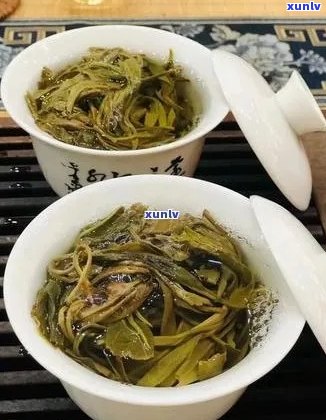 中国十大名牌普洱茶全解析：品质、产地与口感一览无余！