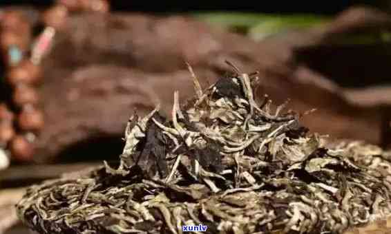 普洱茶表面的白色物质是什么？如何辨别与评价？