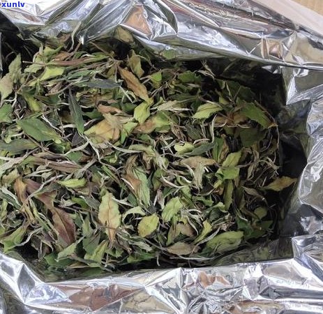 绿茶与普洱茶混合饮用的健益处：一次全面的品茗体验