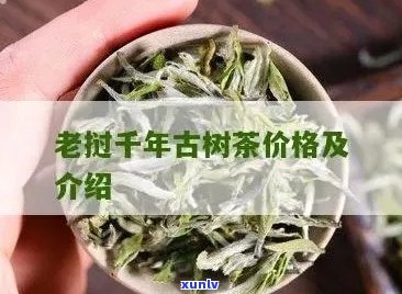 探索千年老妖茶叶的价格：一斤究竟值多少钱？