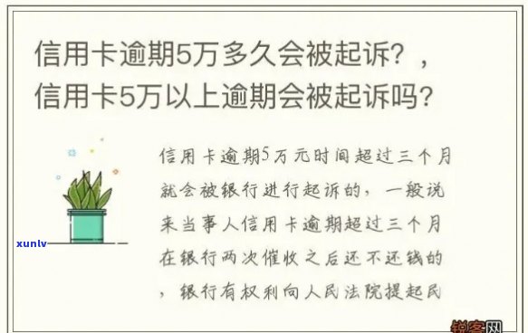 信用卡逾期行为是否构成诈骗：解答常见疑问与影响