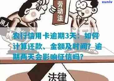 农行信用卡逾期还款时间解析：不同逾期金额和天数的影响及如何规划还款计划