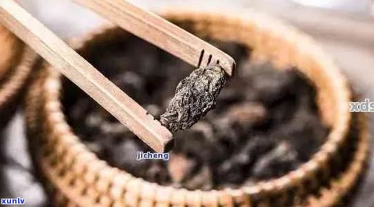 竹炭与普洱茶的共同使用：安全性分析及可能的健效益