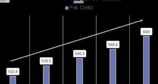 1990年普洱茶市场分析及价格走势