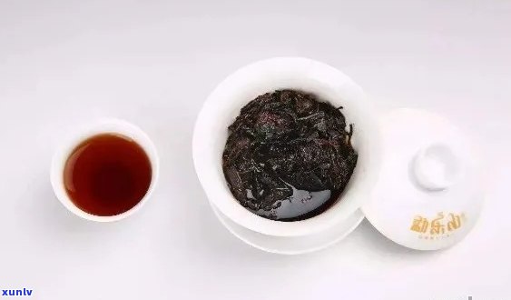 普洱茶泡几次？如何泡出口感？