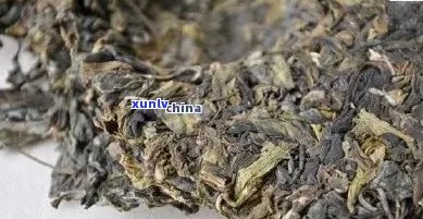 俊仲号普洱茶负责人：2013年老树普洱茶熟茶价格及7698号产品详情