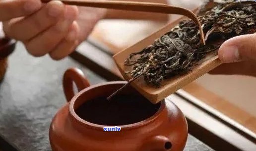 新 '多次泡普洱茶的科学与技巧：能否实现茶叶的无限翻倍？'