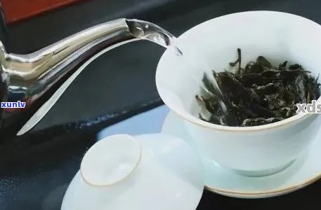 持续浸泡生普洱茶的影响：是否应限制泡茶次数？