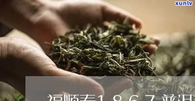 福顺泰普洱茶多少钱一斤？1867福顺泰普洱茶膏价格