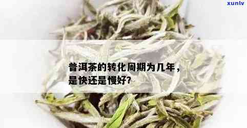 普洱茶的转化速度：快好还是慢好？探讨各种因素及其影响