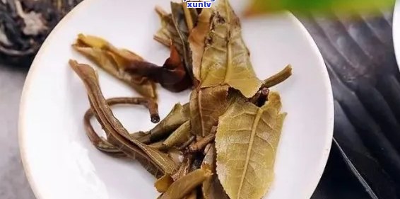 从叶片与梗的形态特征解读普洱茶品质：全面了解如何鉴别普洱茶的优劣