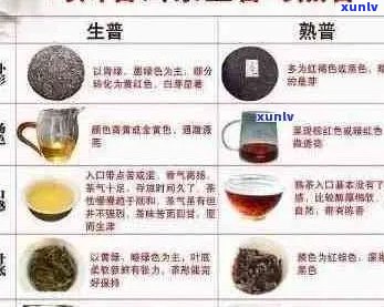 五寨普洱茶品价格大全：全面了解班章普洱茶的各档次市场价与购买建议