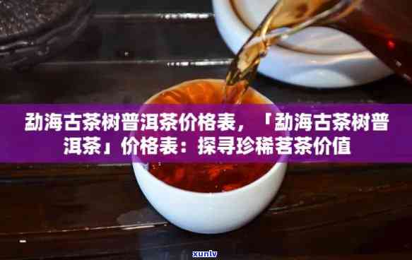 海古树普洱茶价格表