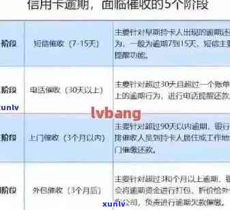 信用卡逾期记录消除策略：如何应对、修复与预防