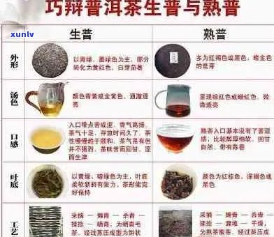 临沧产区普洱茶全面指南：品种、品质、 *** 工艺与品鉴 *** 一应俱全