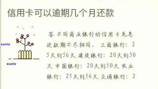 信用卡逾期能否协议还款：解决 *** 与注意事项