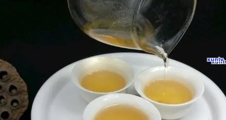 普洱茶的健益处与潜在胃部影响：一篇全面的研究分析