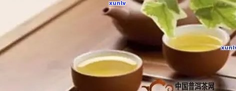 一次饮多少普洱茶好