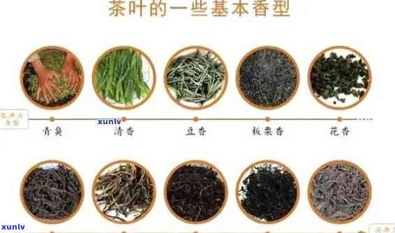 禅茶一味：茶叶品种、含义、价格及意义详解