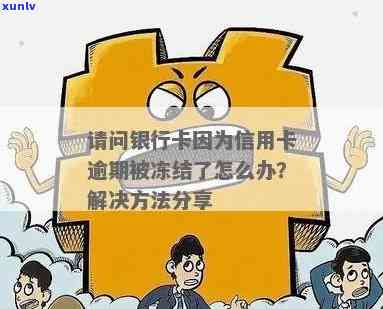 信用卡逾期导致银行卡被冻结的解决办法和影响分析