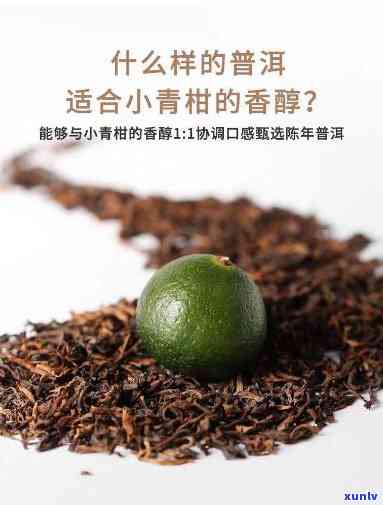 小青橙普洱茶怎么样