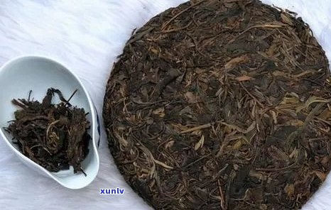 普洱茶中的小白菜是什么？它有什么功效与作用？如何品鉴和选购？