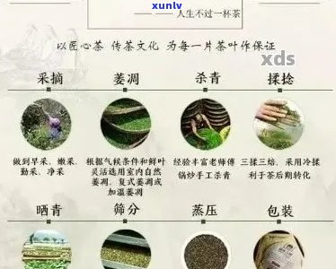 全面了解笑敬号普洱茶价格：从入门级到高端产品一览无余