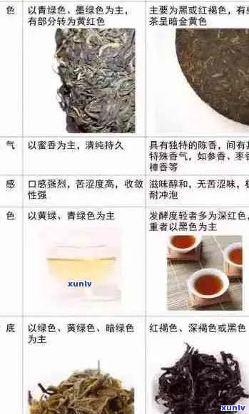 高贡茶普洱生茶：品种特点、口感、品鉴与购买指南，一篇全面的解答！