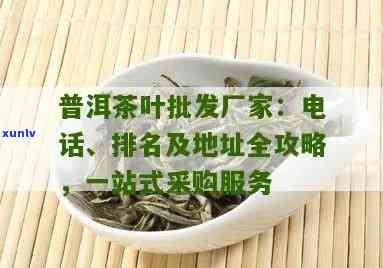 普洱茶批发商：优质茶叶供应商，一站式茶叶采购解决方案