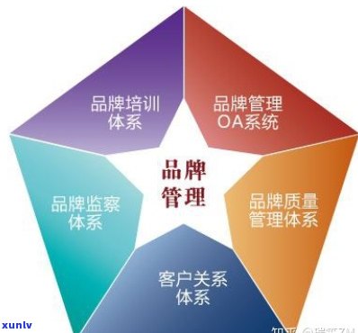 全面评价：深入了解品益牌子的质量、性能和消费者反馈