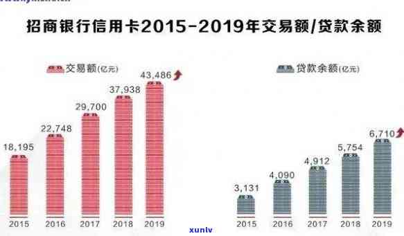 今年信用卡逾期数量