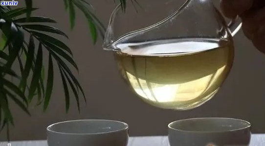 普洱茶的醇厚口感：泡出独特的油雾现象探究