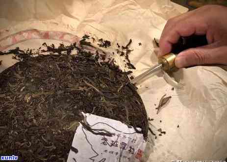 普洱茶的油脂特性：为什么有些茶有层油？如何鉴别和处理？