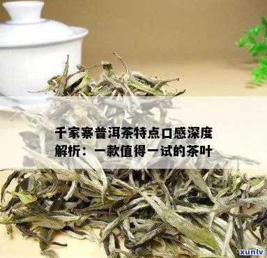 千家寨普洱茶：独特风味、香气浓与口感层次的全面解读