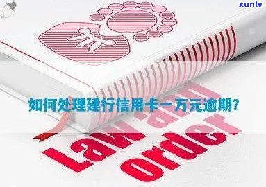 翡翠需要保养油吗