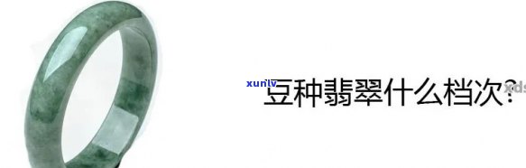 翡翠玉镯的豆种种类与选购指南：了解豆种特性，挑选合适的翡翠玉镯