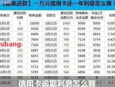 信用卡逾期十万利息多少：计算、天数与年费用解析