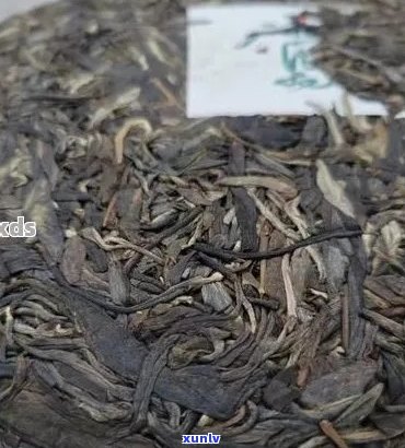 普洱茶与茶叶混合泡制：是否可行？