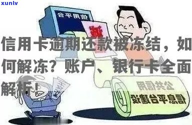 信用卡逾期后冻结银行账户：如何处理及能否开通新卡？