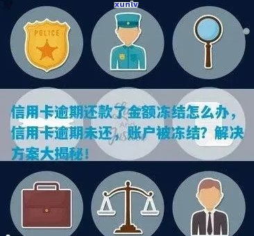 信用卡逾期后冻结银行账户：如何处理及能否开通新卡？