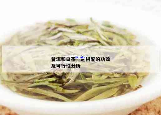 普洱茶与各类茶叶搭配饮用的可行性探讨：一次全面的对比分析