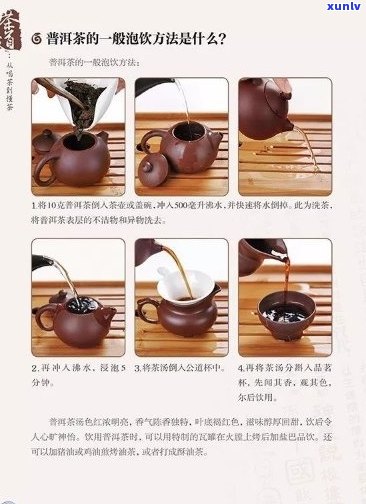 普洱茶冲泡的全面指南：哪些配料可以与普洱茶一起冲泡？