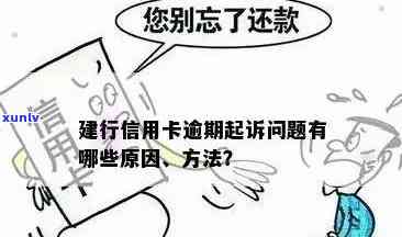 建行信用卡逾期还款压力大？了解详细解决方案及影响！