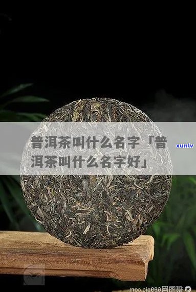 普洱茶三个字的名字