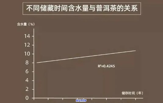 探究普洱茶的持久魅力：耐泡度评价与品鉴技巧