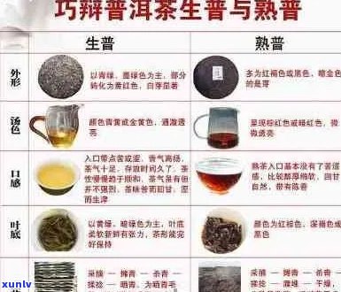 探究普洱茶的持久魅力：耐泡度评价与品鉴技巧